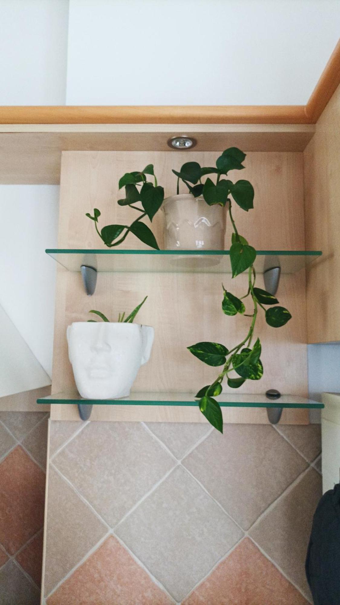 Hb Downtown Sunny Apartman Budapest Eksteriør billede